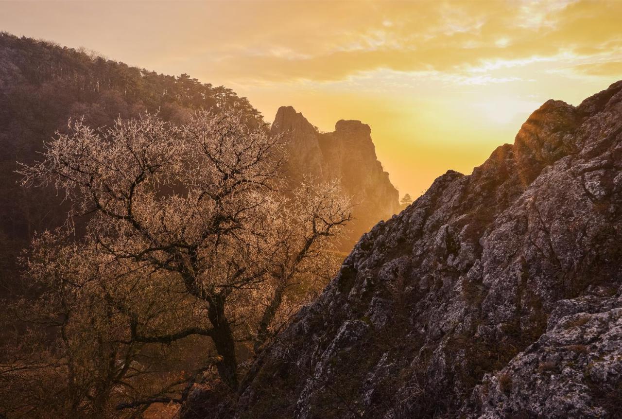 Wellness Hotel Iris Pavlov Dış mekan fotoğraf